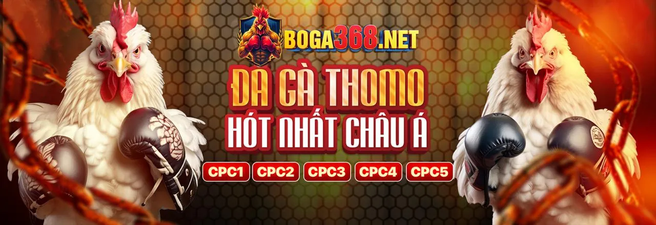 Đá gà trực tuyến kịch tính tại Thabet Đăng Ký